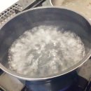 토마토청과