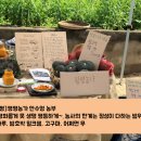 안수영농장 이미지