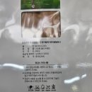 보네뜨