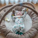 귀여운아기 | 베이비펜수달아기체육관 귀여운 수달체육관 솔직후기