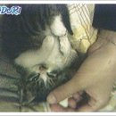 다래동물병원 이미지