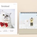 백호3호 이미지