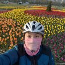 호수공원 2주차장옆 이미지