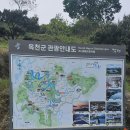 옥천 여행 사진들 이미지