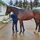 부마목장 이미지