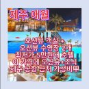 스테이 호텔 가성비 숙소 추천｜제주 탐라스테이 최저가 비교 후기 + 탐라스테이 제주 오션뷰 수영장까지
