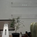 시녹헤어 네이버블로그