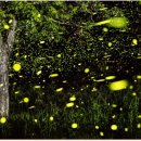 청수리 농어촌체험마을 이미지