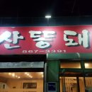 침산똥돼지