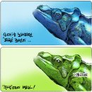 카멜레온