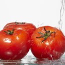 토마토(tomato. 일년감. 번가(番茄). 서홍시(西紅柿).南蠻枾(남만시))를 더 먹어야 하는 10가지 이유 이미지