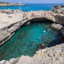 지구촌 수영장 이미지