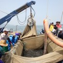 기선권현망수산업협동조합(멸치권현망수협) 이미지