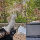 경기도 수원시 권선구 정조로 538 (세류동) 이미지
