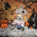 새콤달콩 이미지