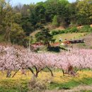 사곡2리 이미지