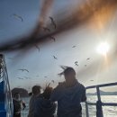 해뜨는 민박 이미지