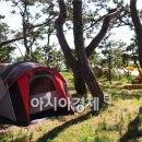 신기팜스테이빌리지 이미지