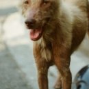 미용농장 이미지