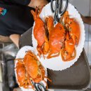 앵그리밥