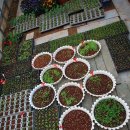 살바토레펜션 이미지