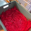 서창남로 40(상가건물 앞) | 강릉길감자 웨이팅 2시간 40분 솔직후기, 메뉴 추천 및 소스 리필 꿀팁