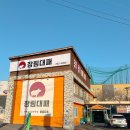 장림 대패 | 부산 사하구 장림동 놀이방식당 꼬들대패맛집 장림대패