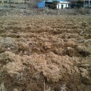 광덕4리 이미지