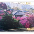 사계고택 이미지