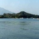 남해복어 이미지