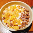 엘가관광호텔 이미지