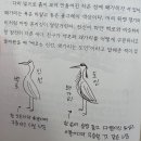 (주)해나람 | 이번주에 읽은 책들 🐈
