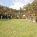 상주 천주교 신앙고백비 이미지