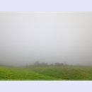 매봉산 바람의언덕 이미지