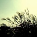 시에게 가는 길 이미지