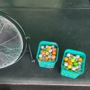 용전골프연습장 | 대전 용전동 실외골프연습장 후기 피리루나