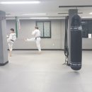 노화태권도 이미지