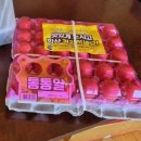 제주웰빙영농조합법인 이미지