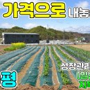 성주부동산중개 이미지