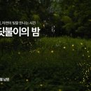 반딧불이