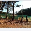 외딴농장 이미지