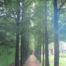 안남고등학교 이미지