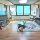 청풍부동산공인중개사사무소 이미지