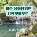 KBS 다큐 공식 세상과 호흡하는 다큐멘터리 이미지