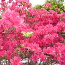 행복펜션 민박 이미지