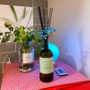 세븐일레븐연산3호점 | 부산 에어비앤비 추천 썸머가든 (5만원대 야외 테라스, 루프탑 감성)