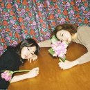 참 좋은 세탁소 이미지