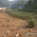 복지농장 이미지