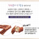 코지캣독