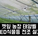 장일농장 이미지